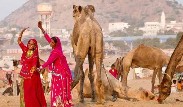 About Camel Fair