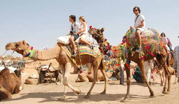 Pushkar Camel Safari